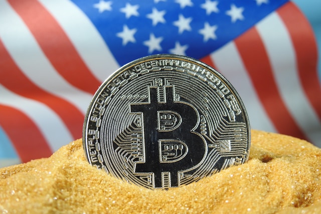 How Many Americans Exactly Possess Crypto?